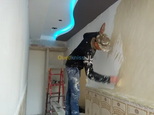 DECORATION PLACO & PENTURE 