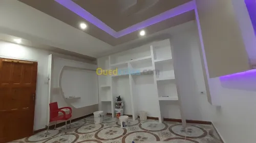 DECORATION PLACO & PENTURE 