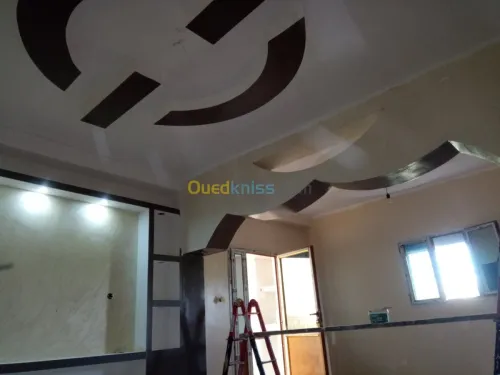 DECORATION PLACO & PENTURE 