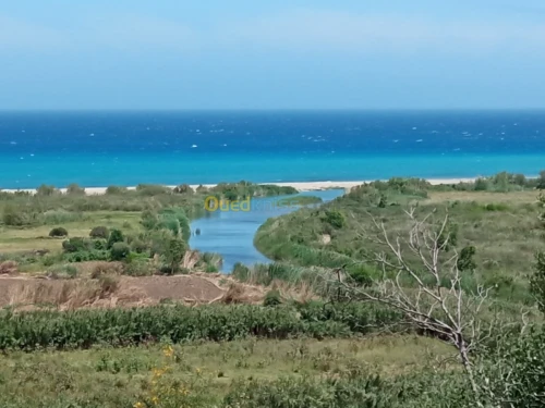 Vente Appartement F3 Tizi ouzou Azeffoun