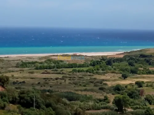 Vente Appartement F3 Tizi ouzou Azeffoun