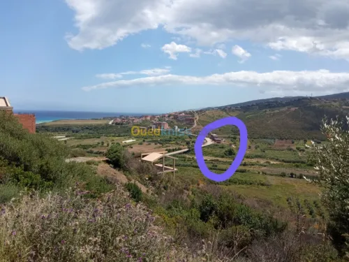 Vente Appartement F3 Tizi ouzou Azeffoun