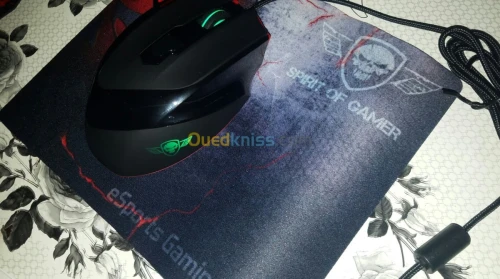Souris Gamer (Gaming Mousse) Pro