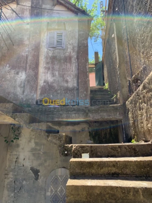 Vente Villa Alger Bouzareah