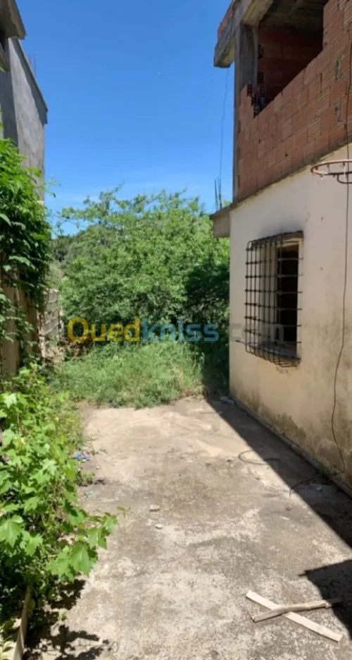 Vente Villa Alger Bouzareah