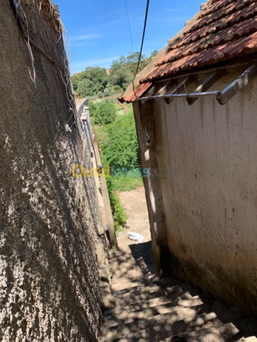 Vente Villa Alger Bouzareah