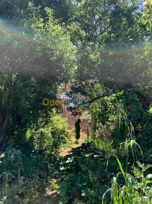 Vente Villa Alger Bouzareah