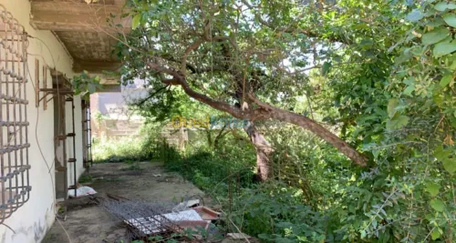 Vente Villa Alger Bouzareah
