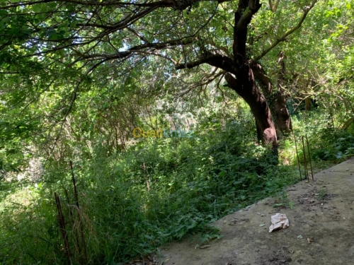 Vente Villa Alger Bouzareah