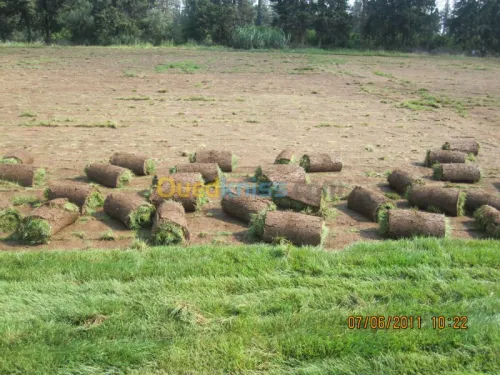 amenagement des espaces vert 