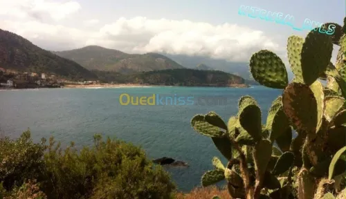 Location Niveau De Villa F4 Jijel El aouana