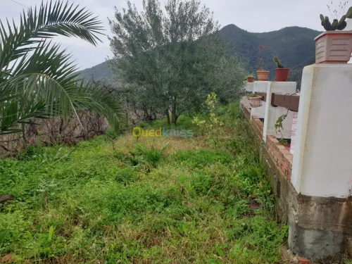 Location Niveau De Villa F4 Jijel El aouana
