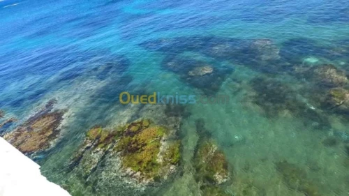 Location vacances Bungalow Oran Arzew