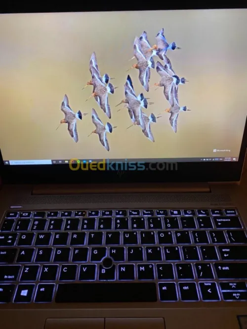 HP Elitebook 830 G6 i5-8th gen