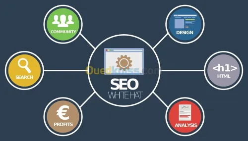 Formation SEO