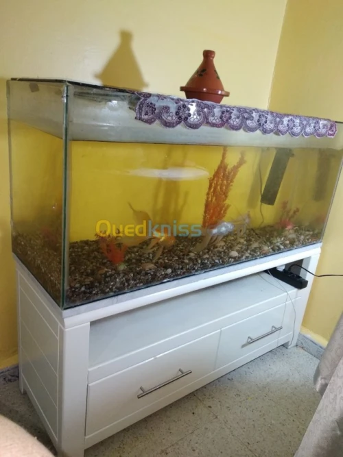 Aquarium avec meuble