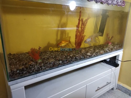 Aquarium avec meuble