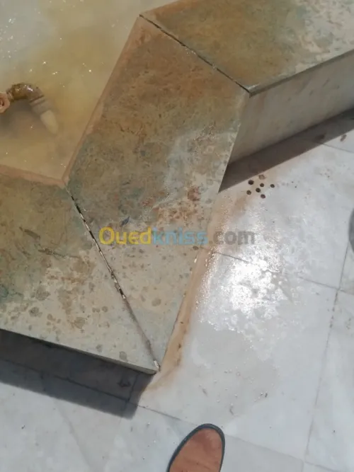 Nettoyage lustrage désinsectisation...