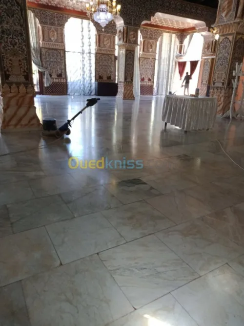 Nettoyage lustrage désinsectisation...