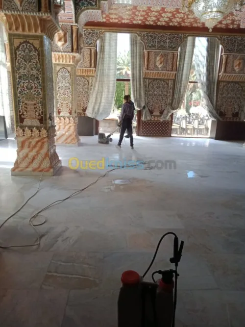 Nettoyage lustrage désinsectisation...