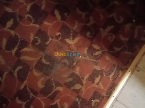 Nettoyage lustrage désinsectisation...