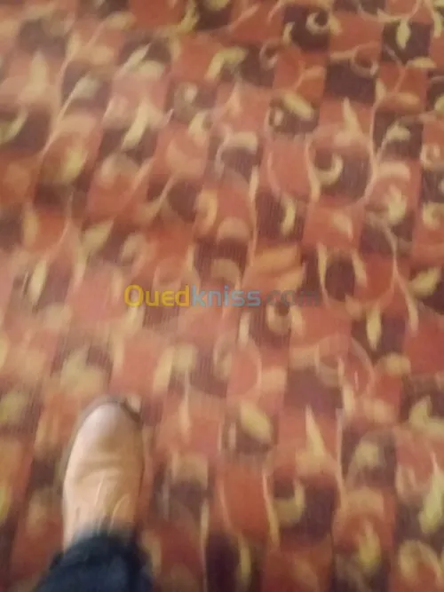 Nettoyage lustrage désinsectisation...