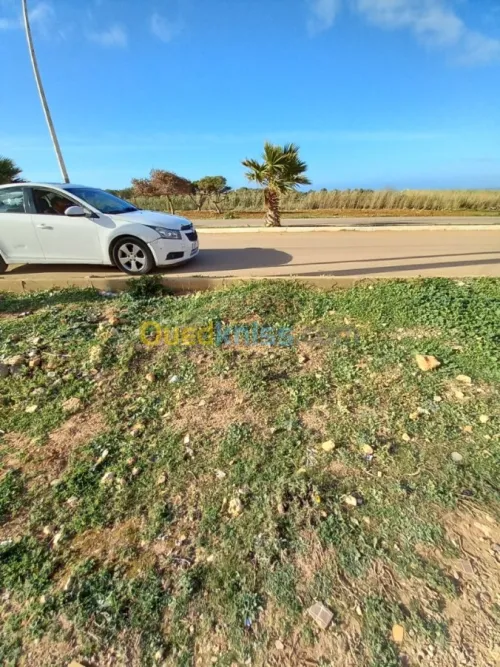 Vente Terrain Mostaganem Achaacha