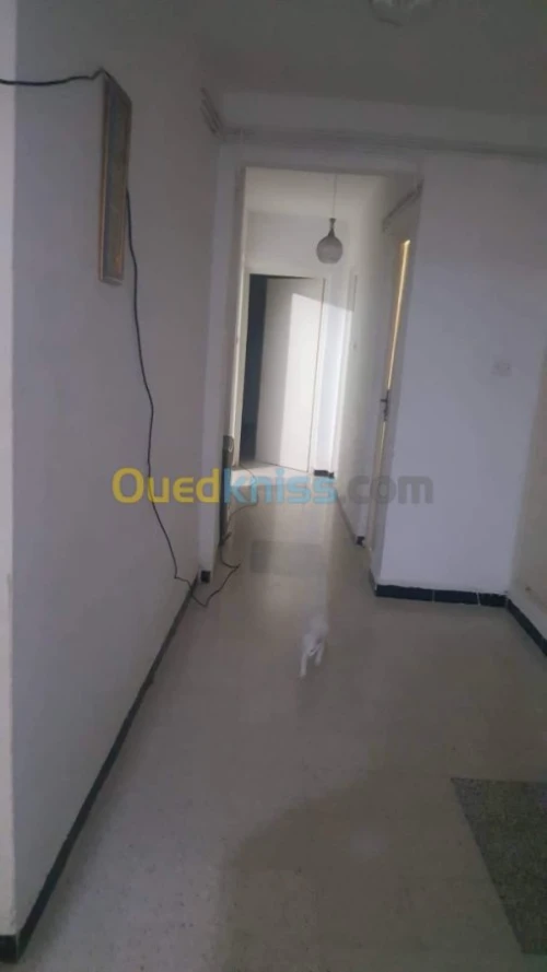 Location Appartement F3 Alger Ain benian
