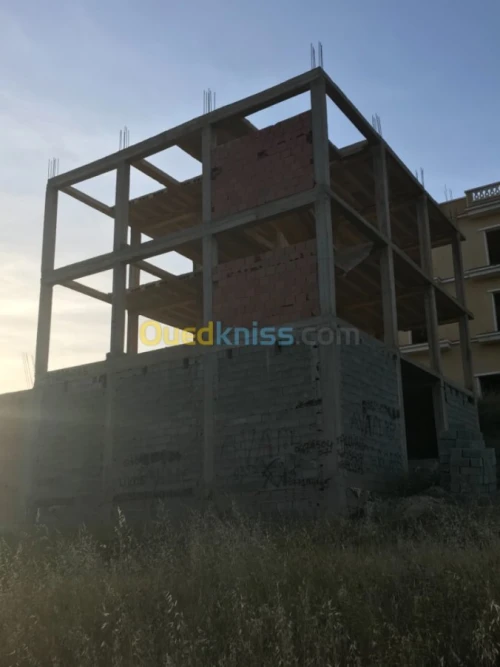 Vente Carcasse Tlemcen Honaine