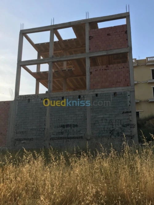 Vente Carcasse Tlemcen Honaine