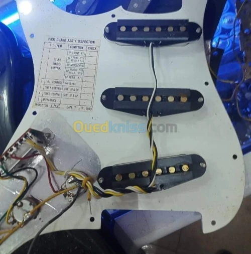 Squier