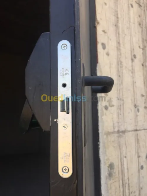 BARRE ANTI PANIQUE ( CISA / ISEO / TESA / NOVOFERM ) et PORTE ISSUE DE SECOURS PORTE COUPE FEU