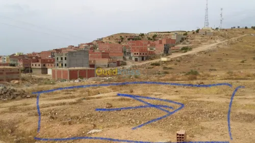Echange Terrain Tlemcen Maghnia