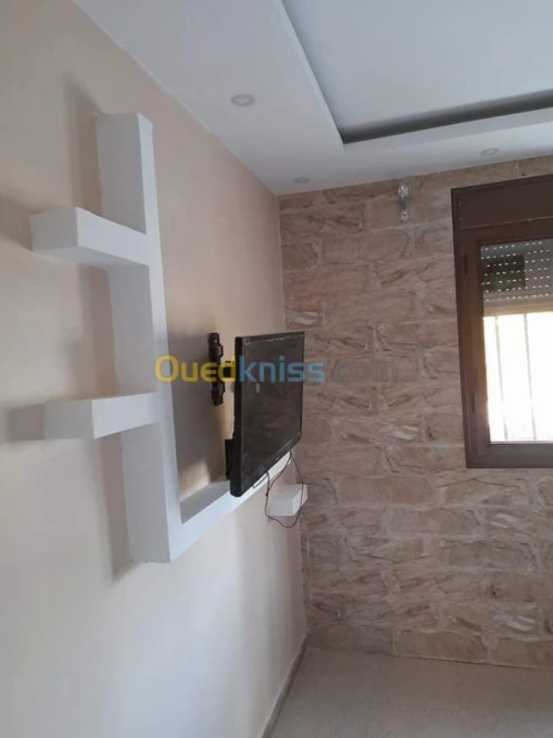 Peintre professionnel 