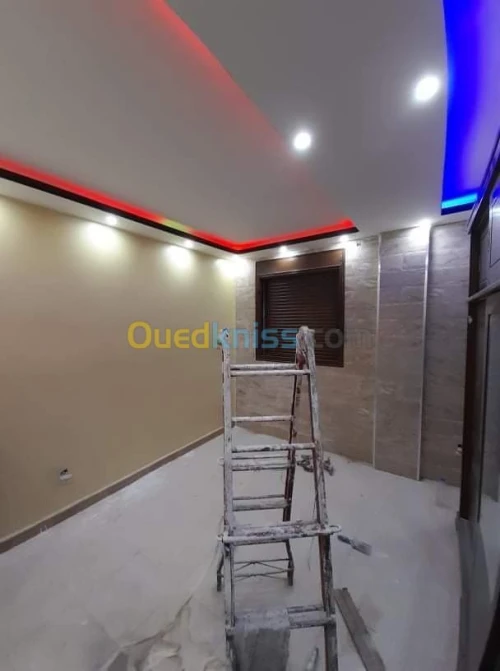 Peintre professionnel 