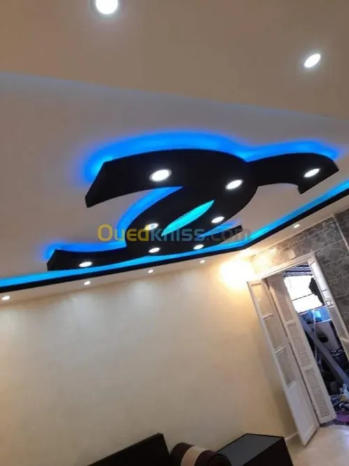 Peintre professionnel 