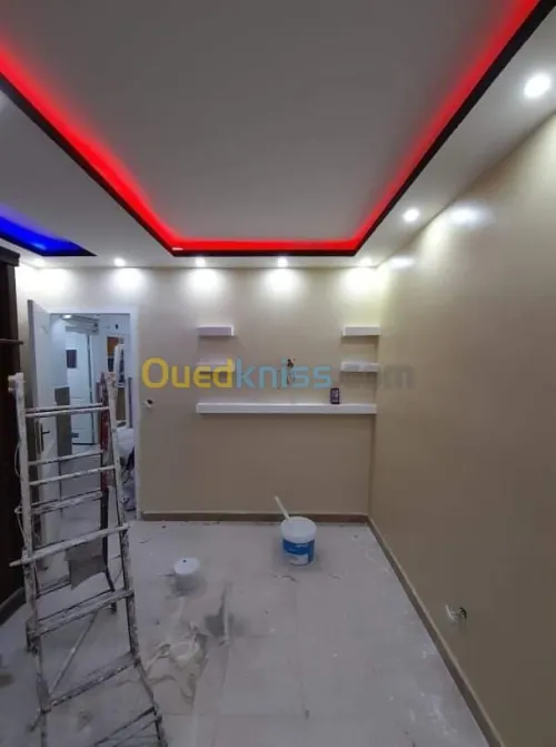 Peintre professionnel 