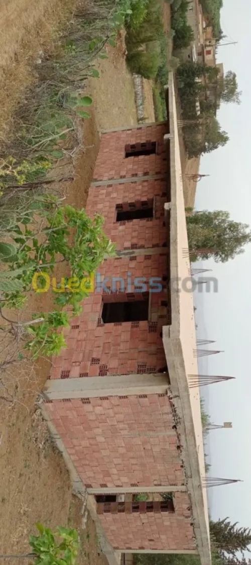 Location Carcasse Medea Bir ben laabed