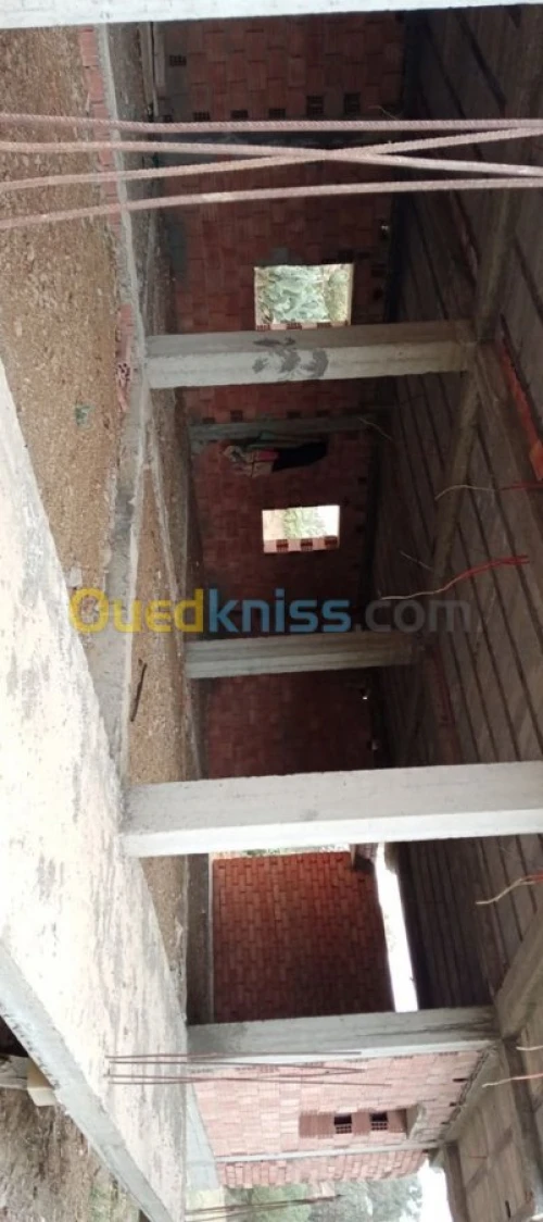 Location Carcasse Medea Bir ben laabed