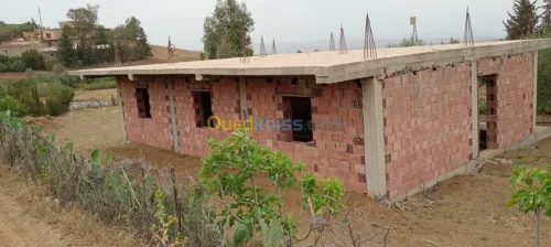 Location Carcasse Medea Bir ben laabed