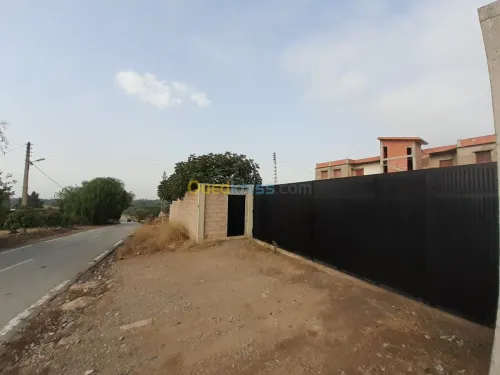 Location bien immobilier Blida Bougara