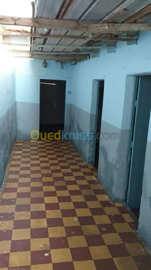 Vente Carcasse Relizane Relizane