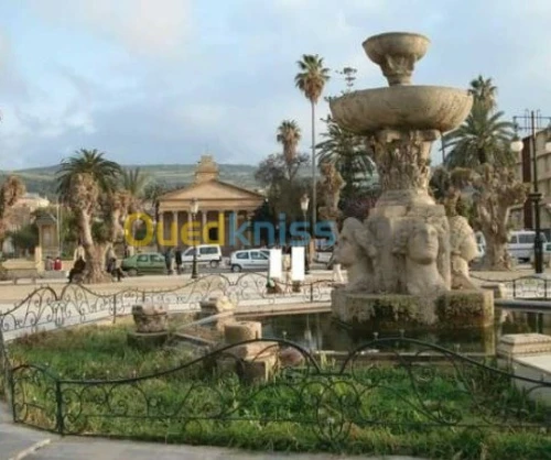 Vente Terrain Tipaza Cherchell