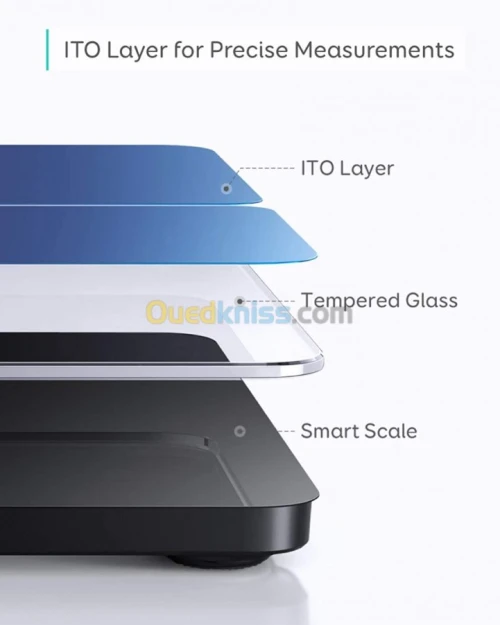 Anker Balance digitale Bluetooth 14 mesures(graisse, masse osseuse, musculaire, l'âge du corps, IMC)