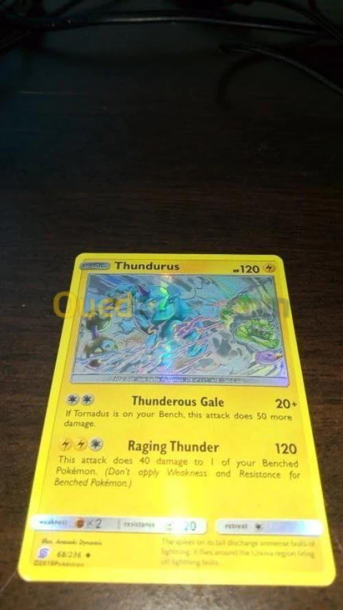 Cartes Pokémon 