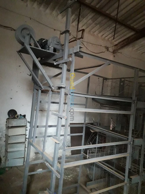 Batterie poules pondeuses 