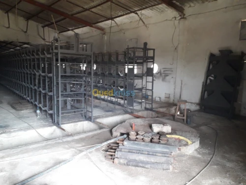 Batterie poules pondeuses 