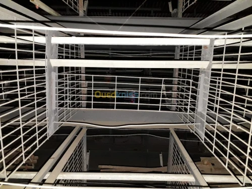 Batterie poules pondeuses 