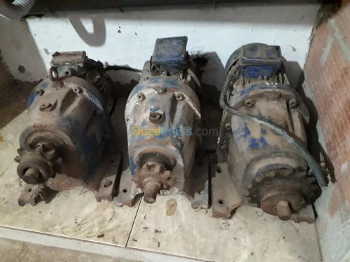 Batterie poules pondeuses 