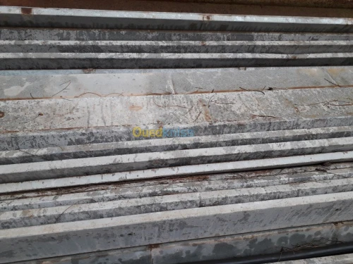 Batterie poules pondeuses 